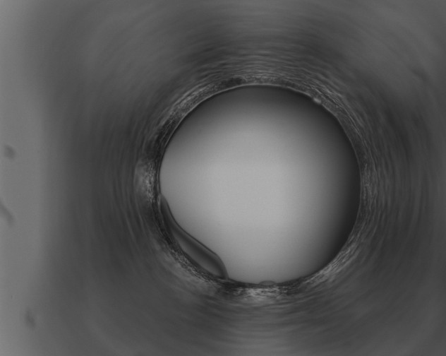 X0000091090188200708061007