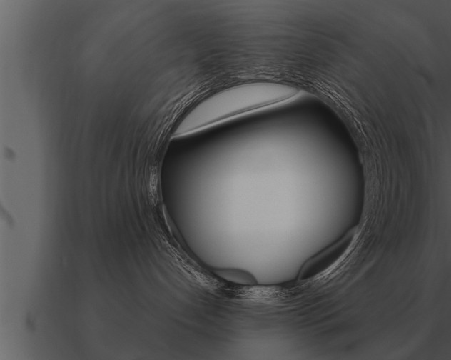X0000091090192200708061007
