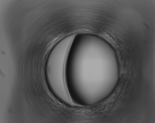 X0000091090193200708061006