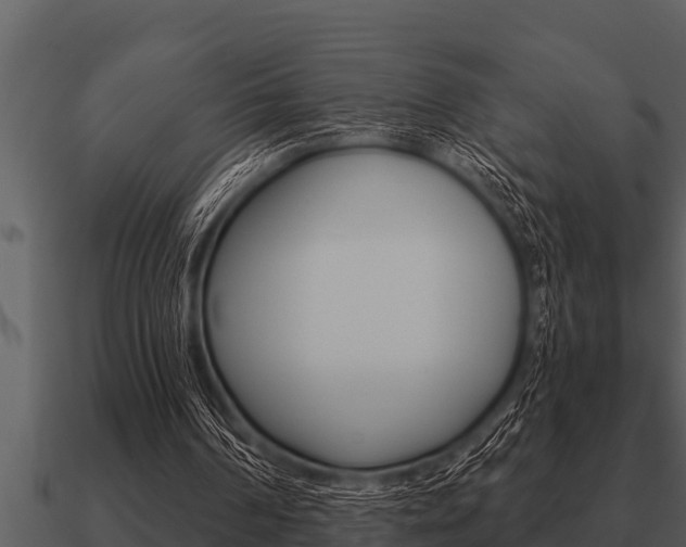 X0000091090194200708061006
