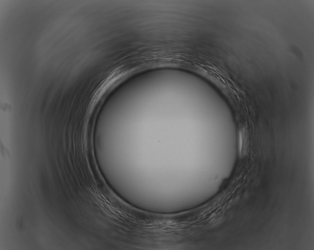 X0000091090195200708061006