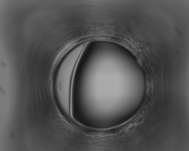 X0000091090197200708061006