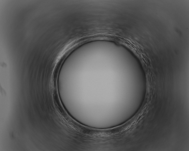 X0000091090198200708061006