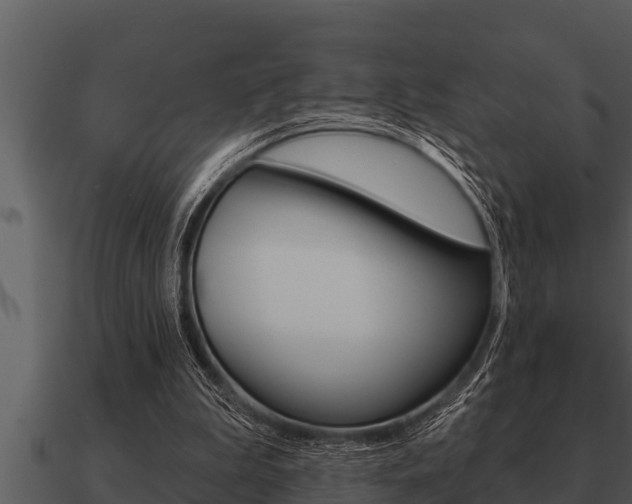 X0000091090199200708061006
