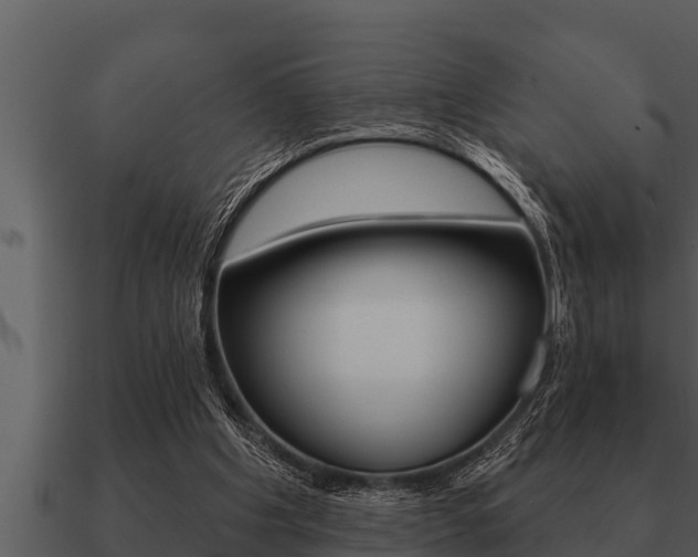 X0000091090201200708061006
