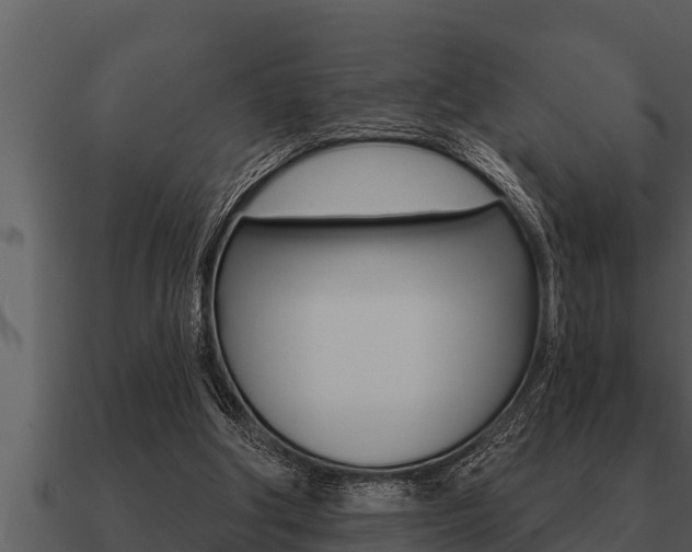 X0000091090202200708061006