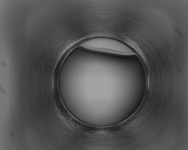 X0000091090204200708061006