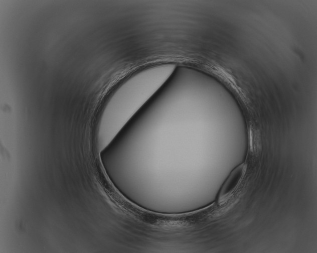 X0000091090205200708061006