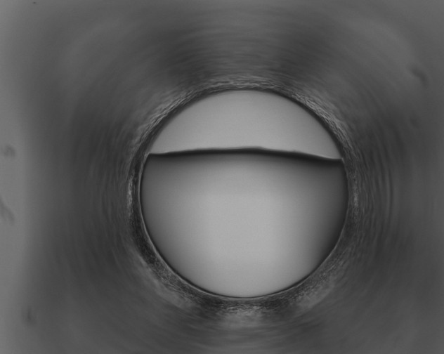 X0000091090206200708061006