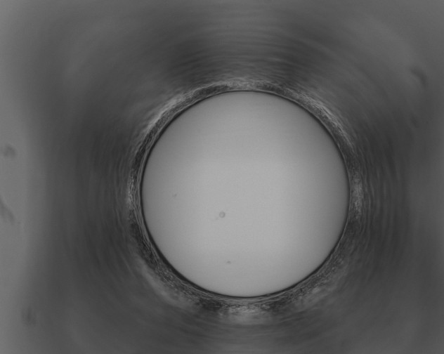 X0000091090208200708061006