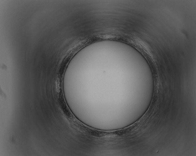 X0000091090210200708061006