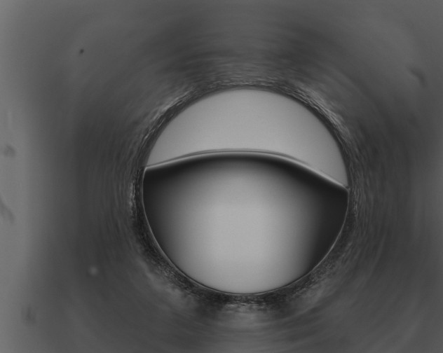 X0000091090211200708061006