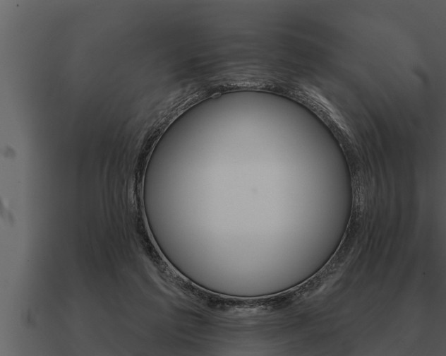 X0000091090213200708061006