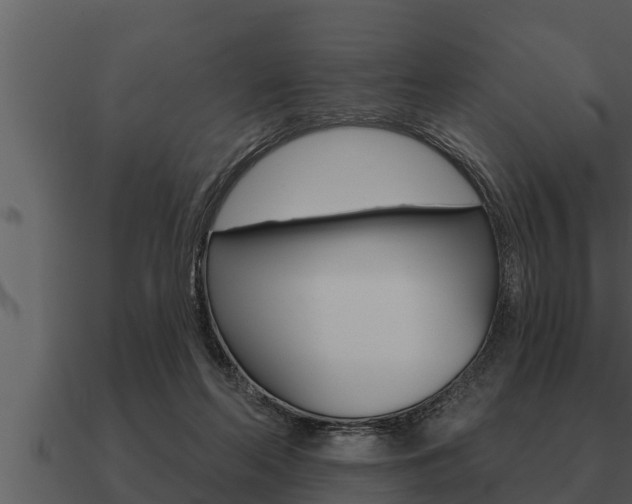 X0000091090214200708061006