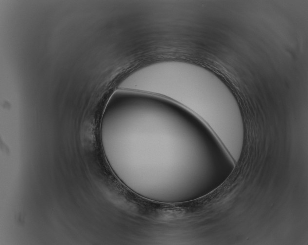 X0000091090215200708061006