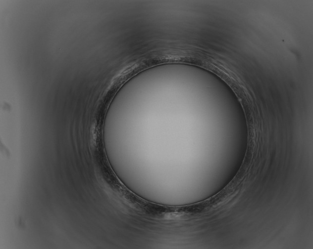 X0000091090216200708061006