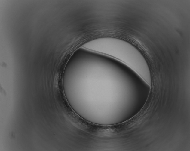 X0000091090217200708061006