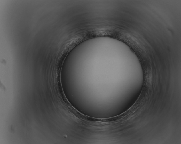 X0000091090219200708061006