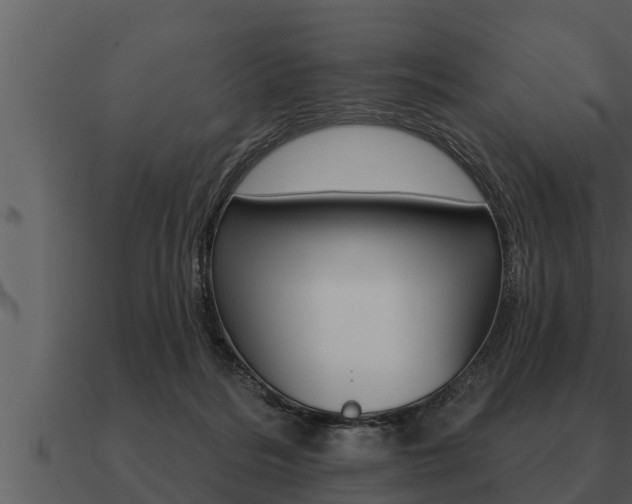 X0000091090220200708061006