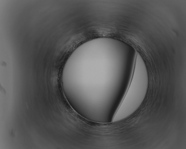 X0000091090221200708061006