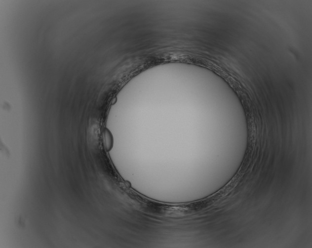 X0000091090222200708061006