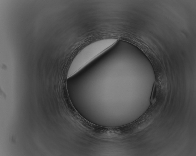 X0000091090223200708061006