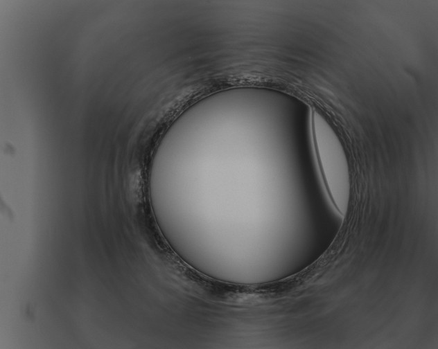 X0000091090224200708061006