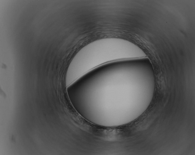 X0000091090225200708061006