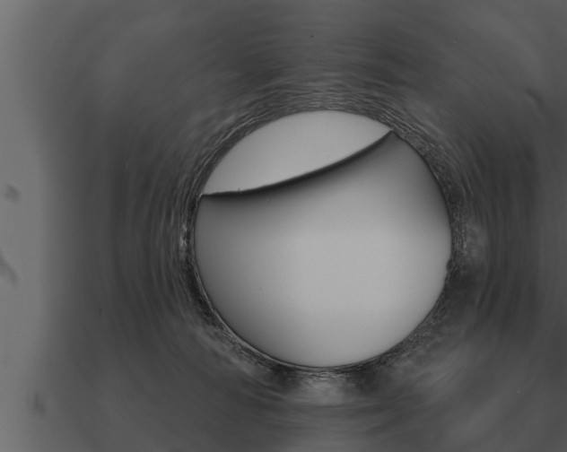 X0000091090226200708061006