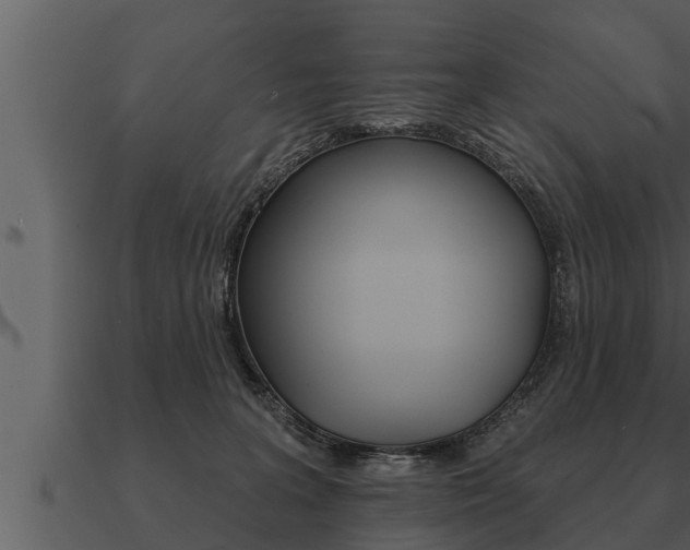 X0000091090227200708061006