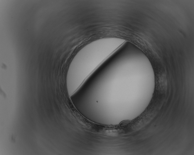 X0000091090228200708061006