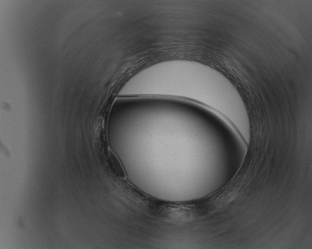 X0000091090229200708061006
