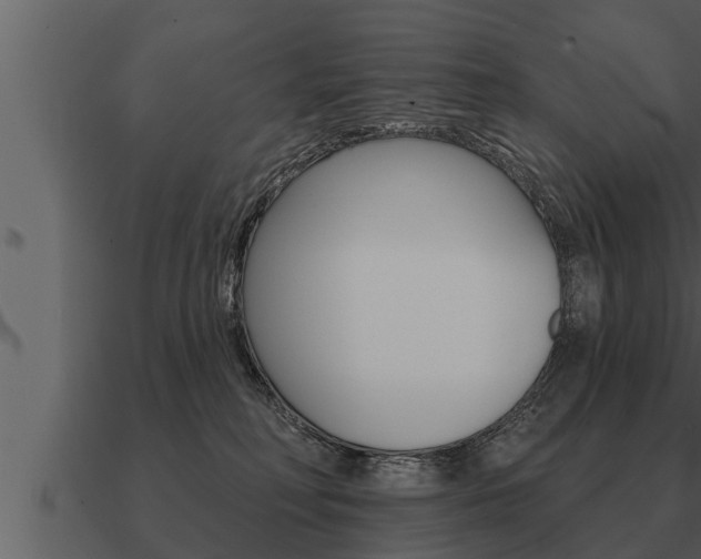 X0000091090230200708061006