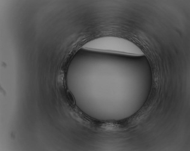 X0000091090231200708061006