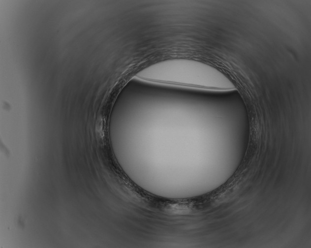 X0000091090232200708061006