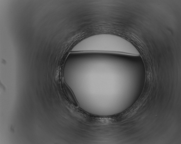 X0000091090233200708061006