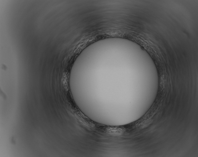 X0000091090234200708061006
