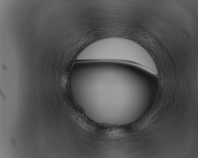 X0000091090235200708061006