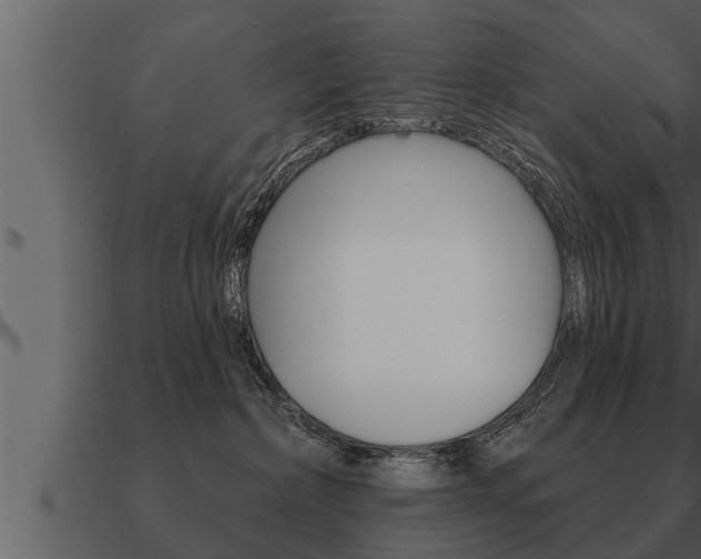 X0000091090236200708061006