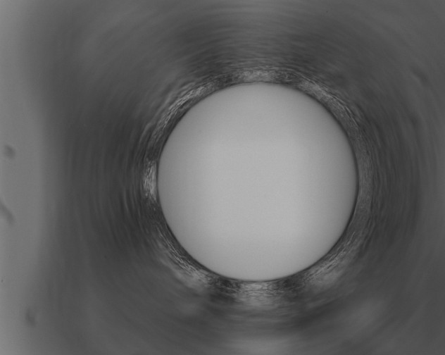 X0000091090240200708061006