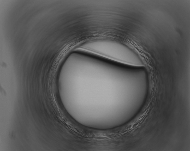 X0000091090241200708061005
