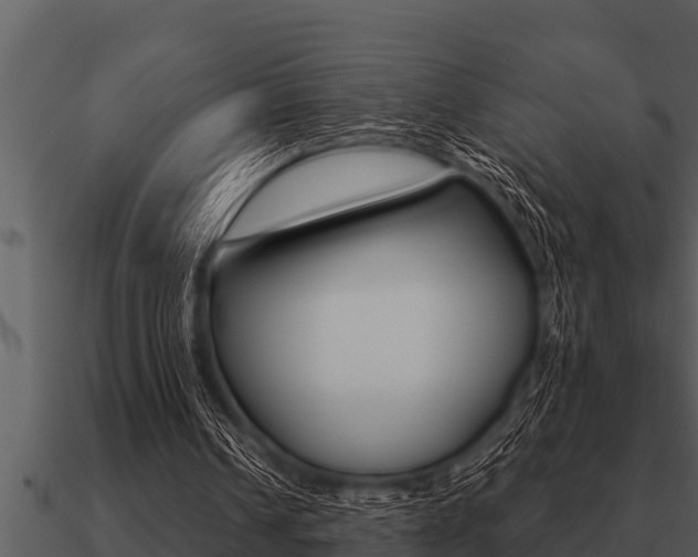 X0000091090242200708061005