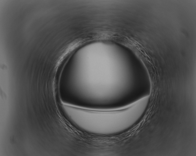 X0000091090244200708061005