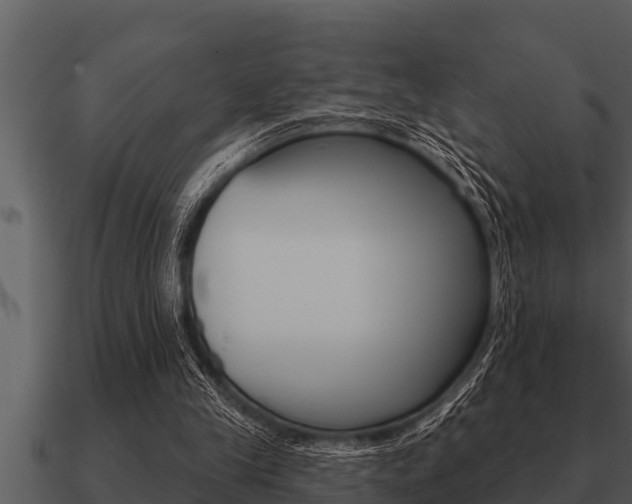 X0000091090245200708061005