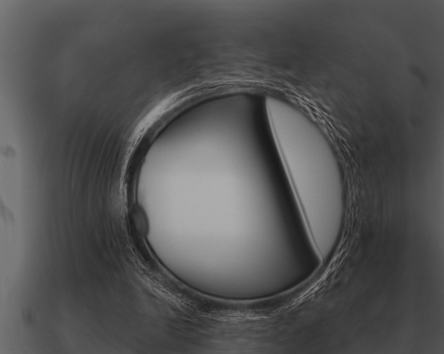 X0000091090246200708061005