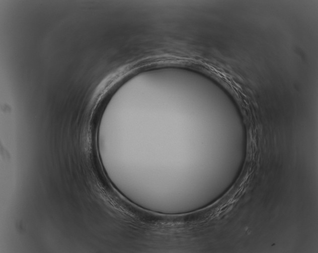 X0000091090247200708061005
