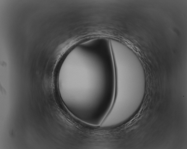 X0000091090248200708061005