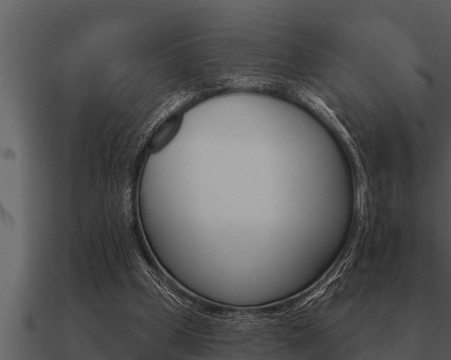 X0000091090249200708061005
