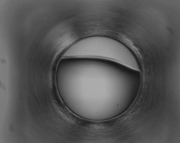 X0000091090250200708061005