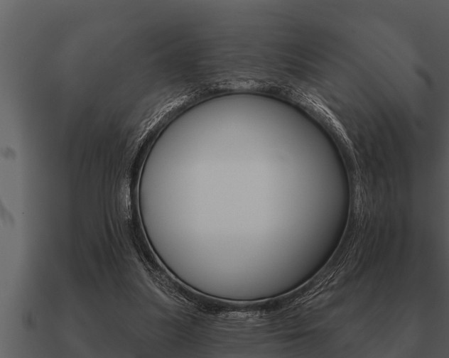 X0000091090251200708061005